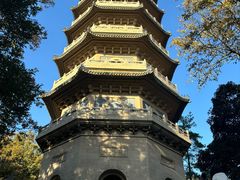 -灵谷景区