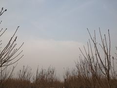 -毛遂公园