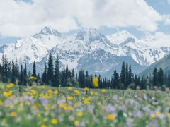 -新疆那拉提国家旅游度假区