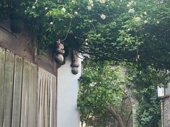 -老门东历史文化街区