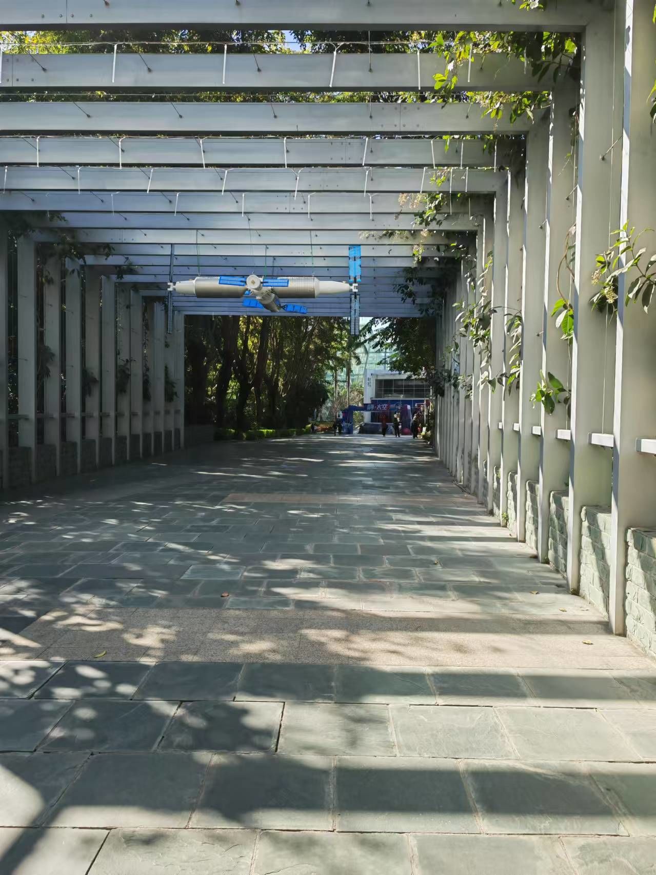 矫健责罚引风浪！南方医科大对俞莉西席的惩罚激励核心媒体热议