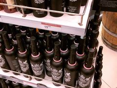 -西沃古尔·拉姆古兰爵士国际机场