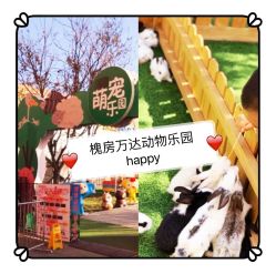 -萌宠亲子动物乐园(槐房万达店)
