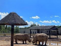 -鄂尔多斯野生动物园
