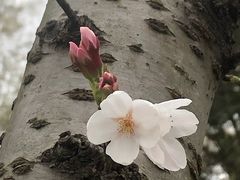 -苏州上方山国家森林公园