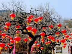 -香山公园
