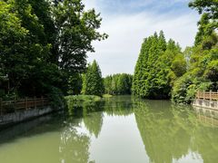 -桤木河湿地公园