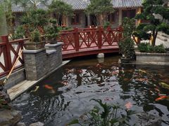 -顺德了能馆(虎门店)