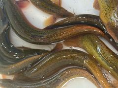 -金沙滩海鲜餐厅·海肠捞饭·手工水饺(梅江龙水园店)