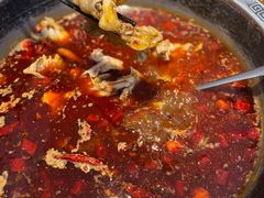 -销魂美蛙鱼头火锅(上海首店)