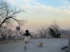 -北京鹫峰国家森林公园