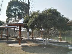 -梁鸿国家湿地公园
