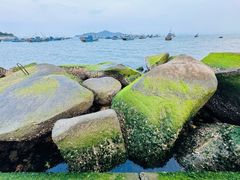 -海源公园