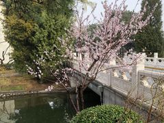 -钓鱼台国宾馆