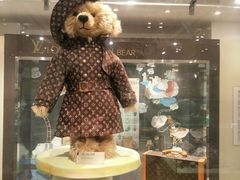 -济州岛泰迪熊博物馆