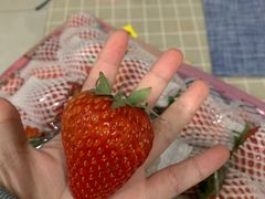 -菜园坝水果市场