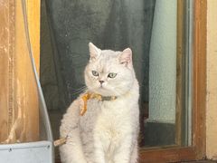 -冰拾叁(新都店)