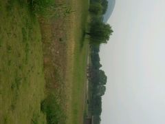 -济南国际园博园