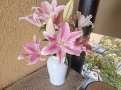 -觀芷隐轩