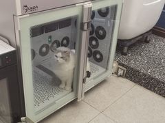-FAELING PETS美天灵宠物(富力广场店)