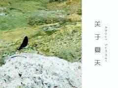 -灵溪风景区