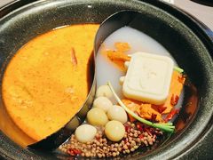 -生活如沸·顺德水牛奶火锅(大学路店)