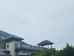 -徂徕山森林康养度假谷温泉