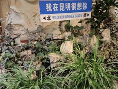 -蜀家渝重庆火锅(南屏街店)