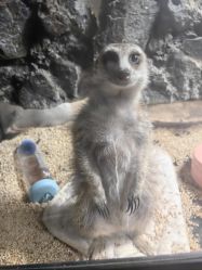 -未来动物城主题公园(正弘城店)