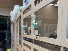 -唐小姐の私宠·宠物洗护美容·撸猫馆·购宠(周浦万达旗舰店)