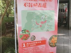 -杭州植物园