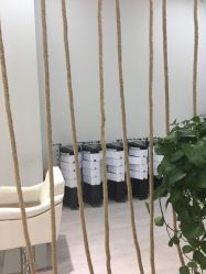 -P.STYLE派斯造型