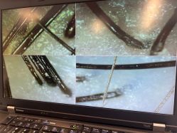 -章光101防脱养发荟