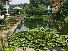 -湾里人家(旺山景区店)