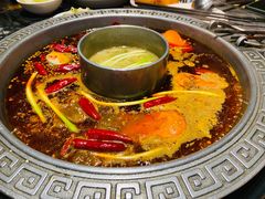 -杨肥肠火锅大排档(火车站花园店)