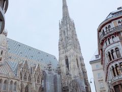 -斯蒂芬主教座堂(Stephansdom)