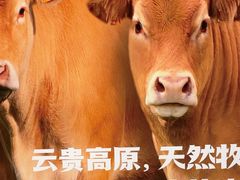 -陈记顺和潮汕鲜牛肉火锅(西门口广场店)