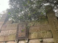 -普陀山风景区-佛顶山