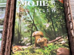 -蘑界·野生菌火锅(深业上城店)