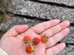 -大罗山风景区