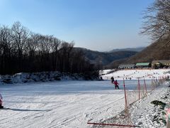 -五家山森林公园滑雪场