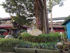 -峨眉山报国寺