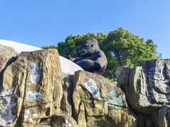 -自然谷恐龙园