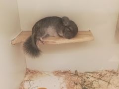 -龙猫仔乐园(惠福东路店)