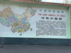 -成都动物园