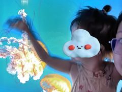 -太平洋海底世界