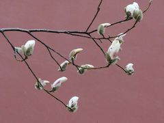 -东华门大街小区