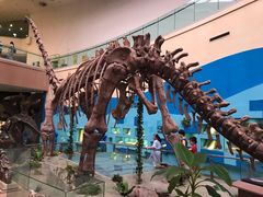 -陕西自然博物馆