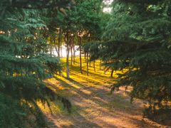 -大兴滨河森林公园