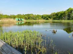 -西湖风景区-江洋畈生态公园